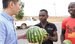 吃瓜视频在线观看免费版 黑瓜,揭秘热门事件背后的真相