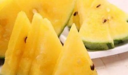 黑瓜吃料网.黑吃